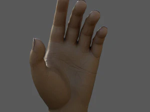Ręka Model 3D
