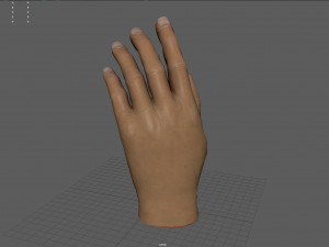 Hand 3D Модель