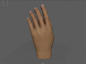 Ręka Model 3D