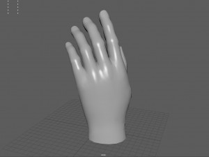 Hand 3D Модель