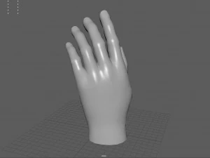 Ręka Model 3D