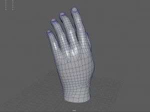 Ręka Model 3D