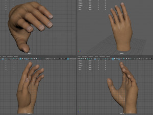 Hand 3D Модель