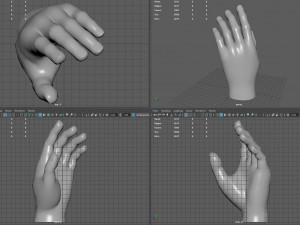 Hand 3D Модель