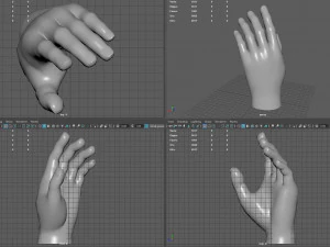 Ręka Model 3D