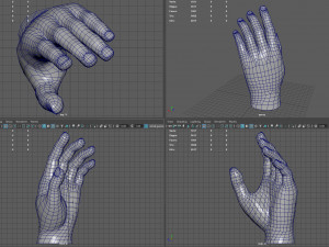 Hand 3D Модель