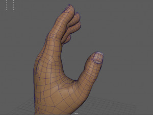 Hand 3D Модель
