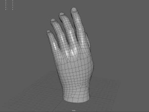 Ręka Model 3D