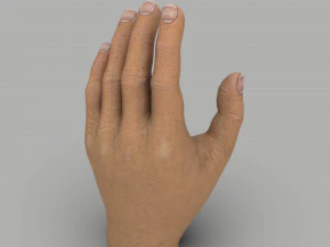 Ręka Model 3D