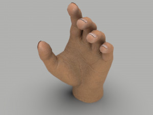 Hand 3D Модель