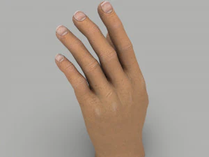 Ręka Model 3D