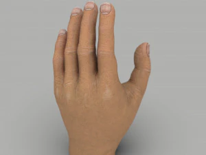Ręka Model 3D
