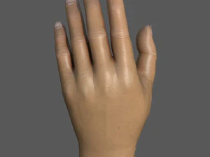 Ręka Model 3D