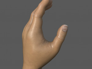 Hand 3D Модель