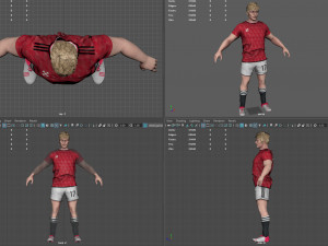 Male Football Player 3Dモデル