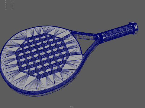 Paddle Racket for 3d print 3D Print Model