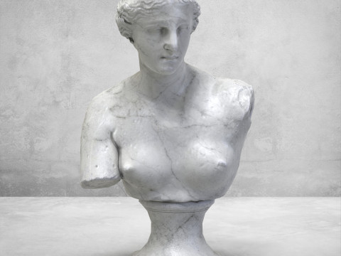 Venus de Milo Bust Sculpture Low Poly PBR Textured Carrara Marble 3D Модель