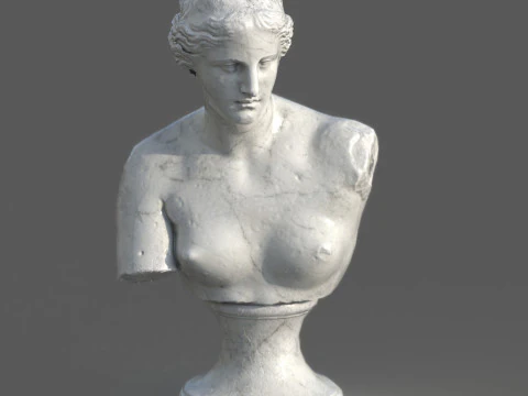 Scultura busto Venere di Milo Marmo di Carrara strutturato Low Poly PBR Modello 3D