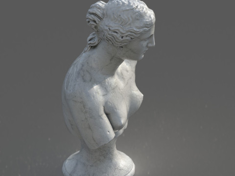 Venus de Milo Bust Sculpture Low Poly PBR Textured Carrara Marble Model 3D