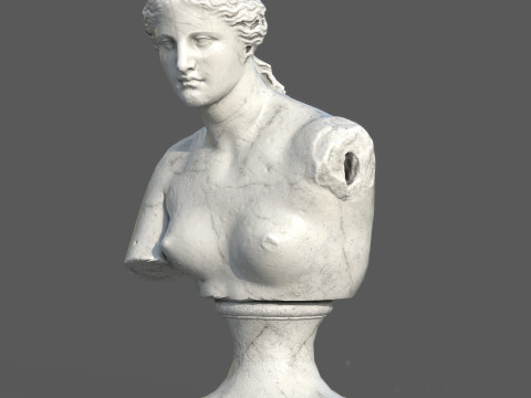 Venus de Milo Bust Sculpture Low Poly PBR Textured Carrara Marble Model 3D