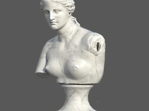 Scultura busto Venere di Milo Marmo di Carrara strutturato Low Poly PBR Modello 3D