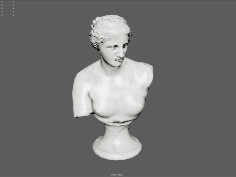 Venus de Milo Bust Sculpture Low Poly PBR Textured Carrara Marble Model 3D