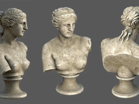 Бюст Венери Мілоської. Класична мармурова скульптура 3D Модель