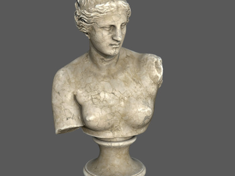 Venus de Milo Bust Classical Marble Sculpture 3D 모델