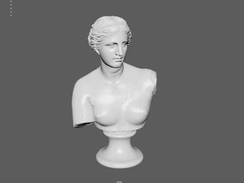 Бюст Венери Мілоської. Класична мармурова скульптура 3D Модель