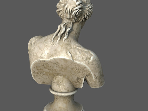Venus de Milo Bust Classical Marble Sculpture 3D 모델