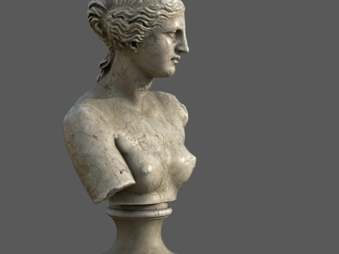 Venus de Milo Bust Classical Marble Sculpture 3D 모델