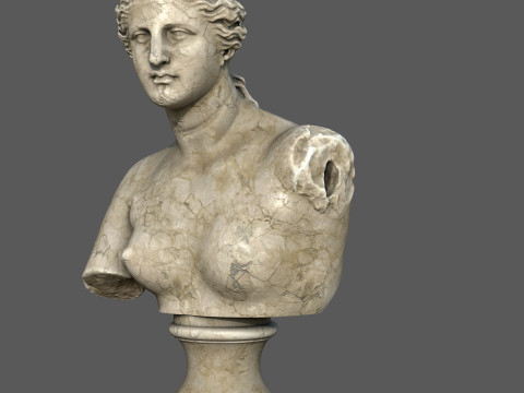 Venus de Milo Bust Classical Marble Sculpture 3D 모델