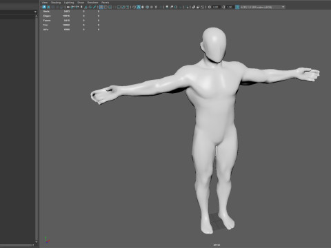 Male Muscular System Anatomy Model 3D
