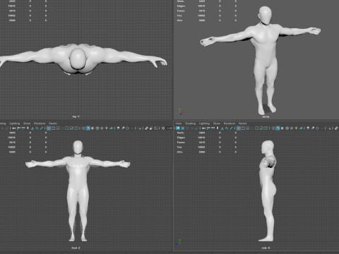 Male Muscular System Anatomy Model 3D