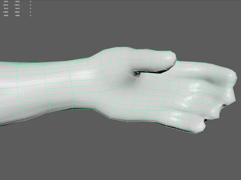 Anatomia del sistema muscolare maschile Modello 3D