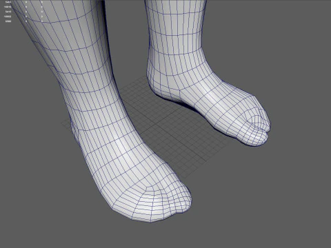 Anatomia del sistema muscolare maschile Modello 3D