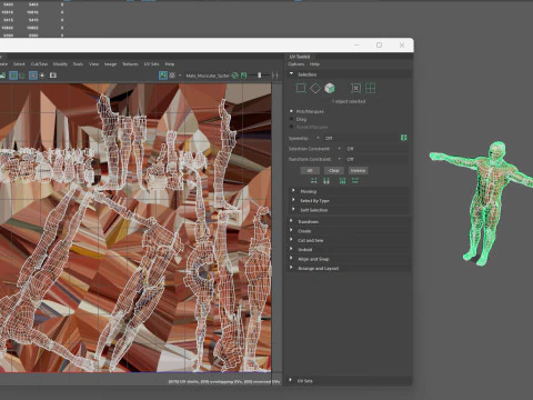 Anatomia del sistema muscolare maschile Modello 3D