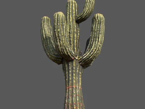 Desert Sentinel Реалистичный низкополигональный Кактус 4K PBR Готовая игра 3D Модель