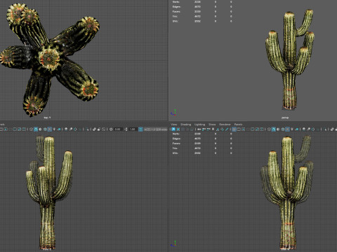 Desert Sentinel Realistic Low Poly Cactus 4K PBR Game Ready 3D 模型