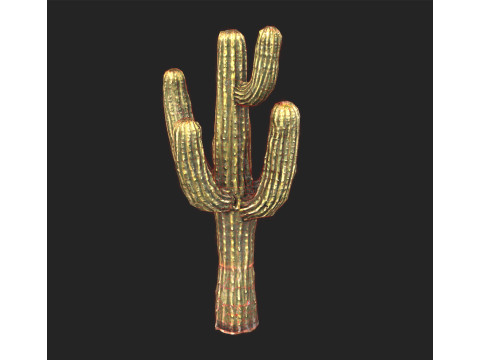Desert Sentinel Realistic Low Poly Cactus 4K PBR Game Ready 3D 模型