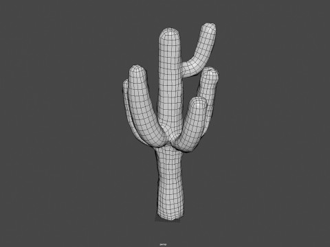 Desert Sentinel Realistic Low Poly Cactus 4K PBR Game Ready 3D 模型