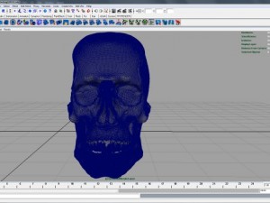 skull 3D मॉडल
