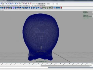 skull 3D Model