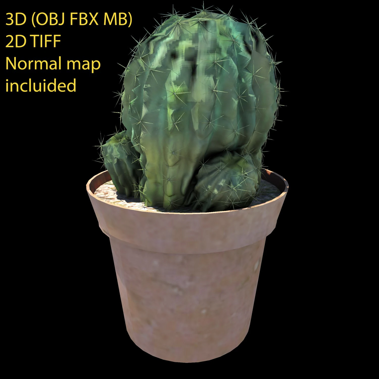 cactus 3D Model .c4d .max .obj .3ds .fbx .stl .blend
