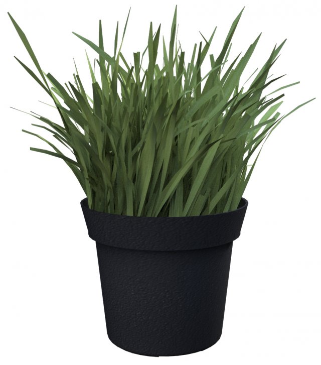 grass Model 3D .c4d .max .obj .3ds .fbx .stl .blend 