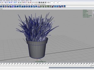 grass Model 3D