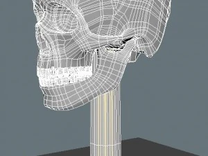 skull chalice 3D Model