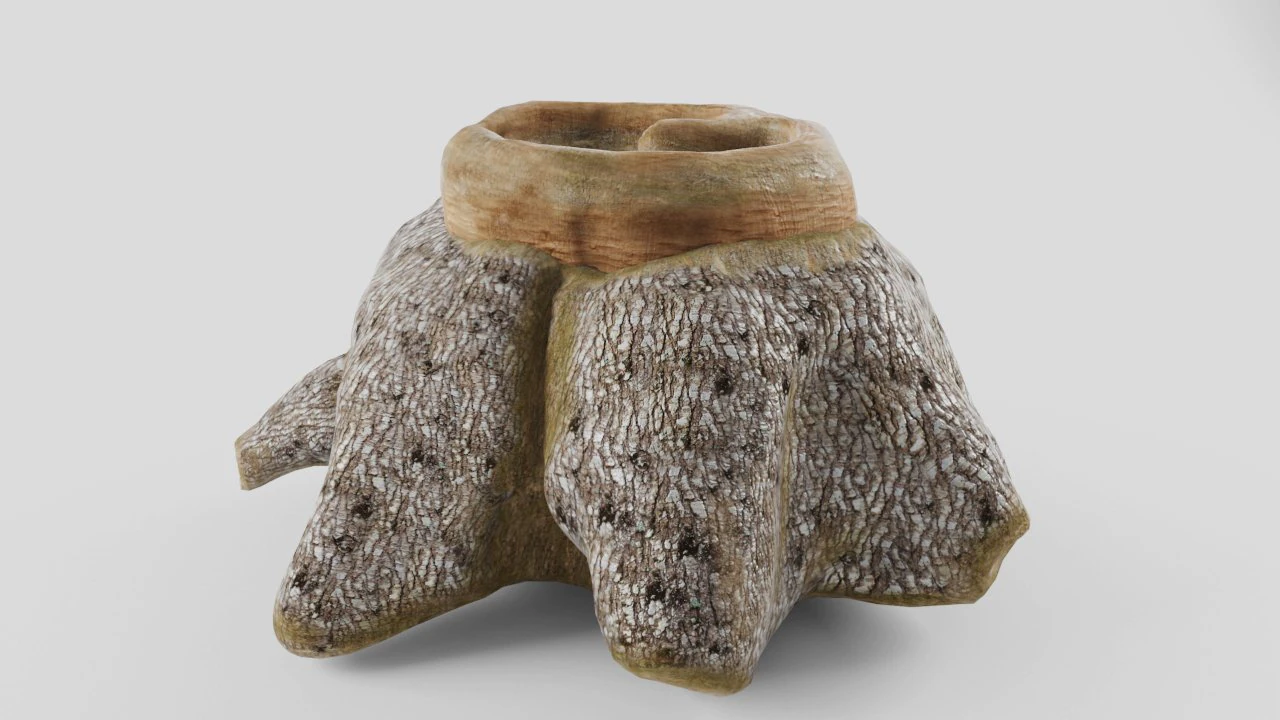 old stump 3D Model .c4d .max .obj .3ds .fbx .stl .blend 