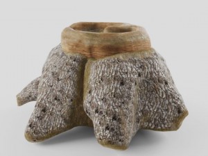 old stump 3D-Modell