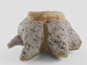 old stump 3D 모델